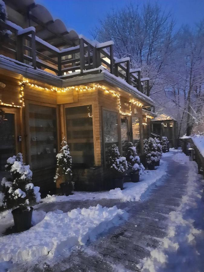 Bed and Breakfast Skay Loft Braşov Exterior foto