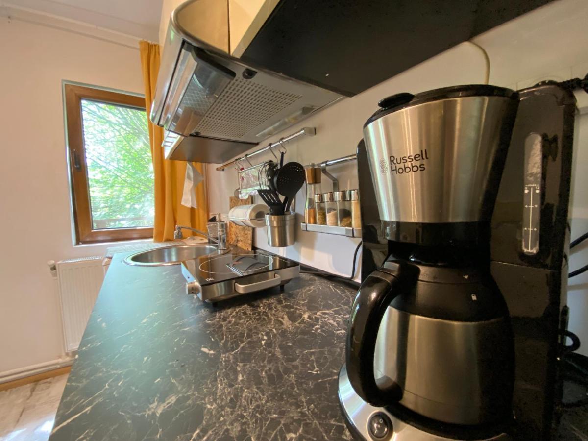 Bed and Breakfast Skay Loft Braşov Exterior foto