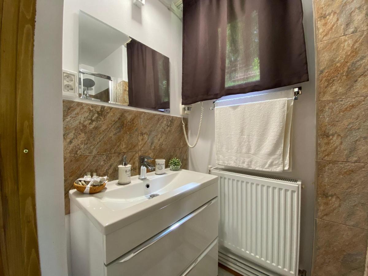 Bed and Breakfast Skay Loft Braşov Exterior foto