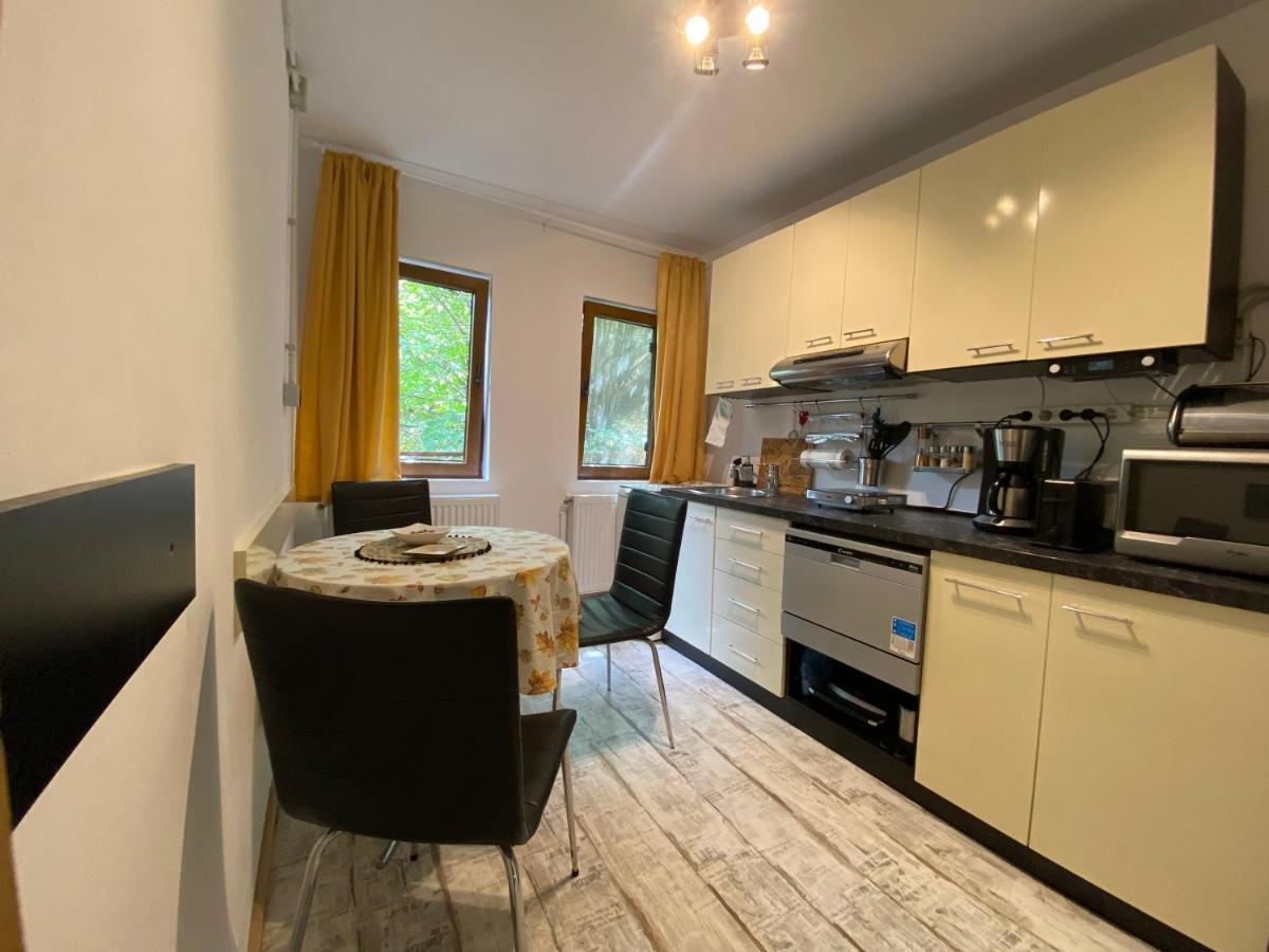 Bed and Breakfast Skay Loft Braşov Exterior foto