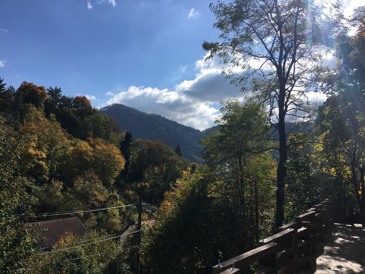 Bed and Breakfast Skay Loft Braşov Exterior foto