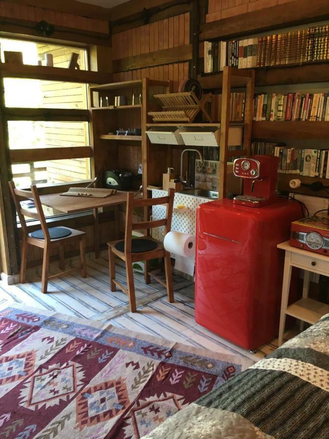 Bed and Breakfast Skay Loft Braşov Exterior foto