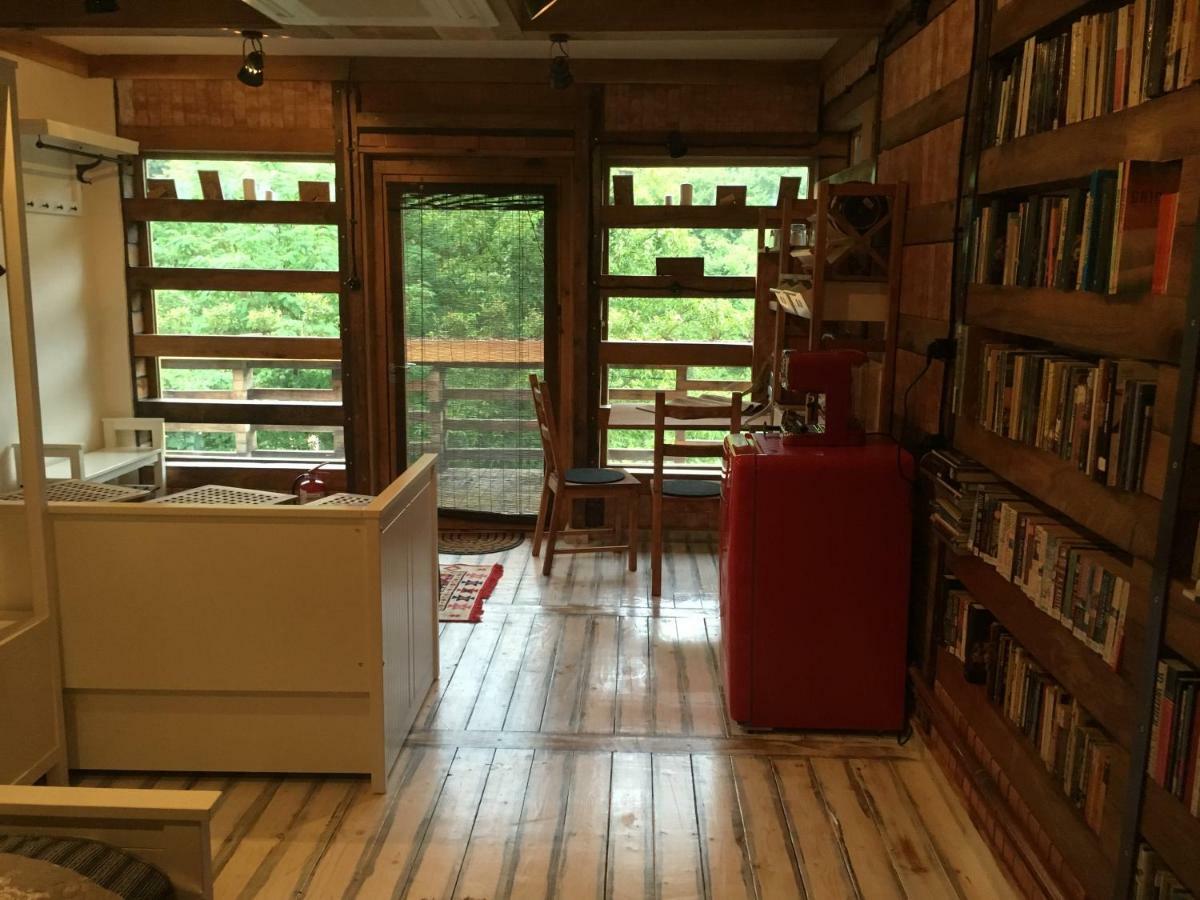 Bed and Breakfast Skay Loft Braşov Exterior foto